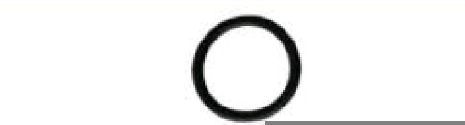 اورینگ پیستون 810 وایتون درجه یک